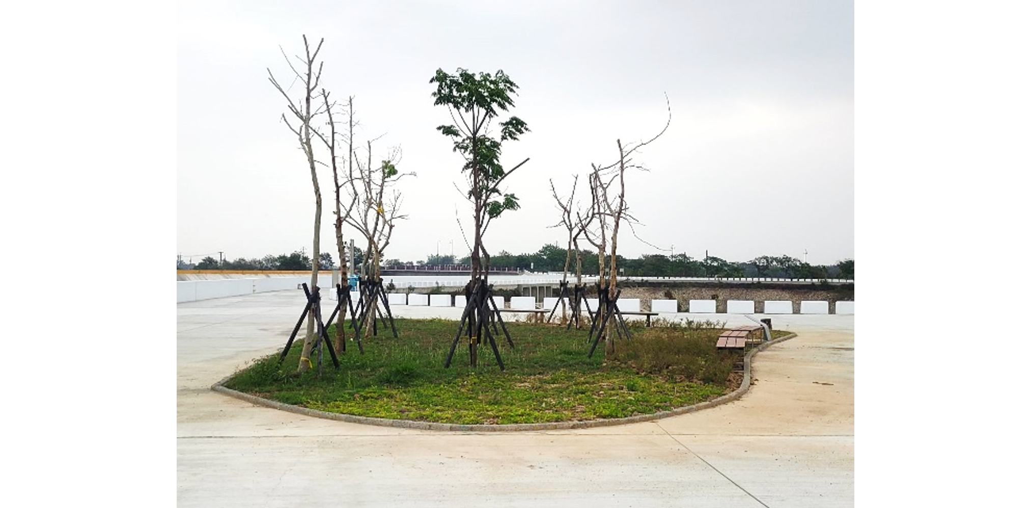 竣工實景－廣場Ｃ