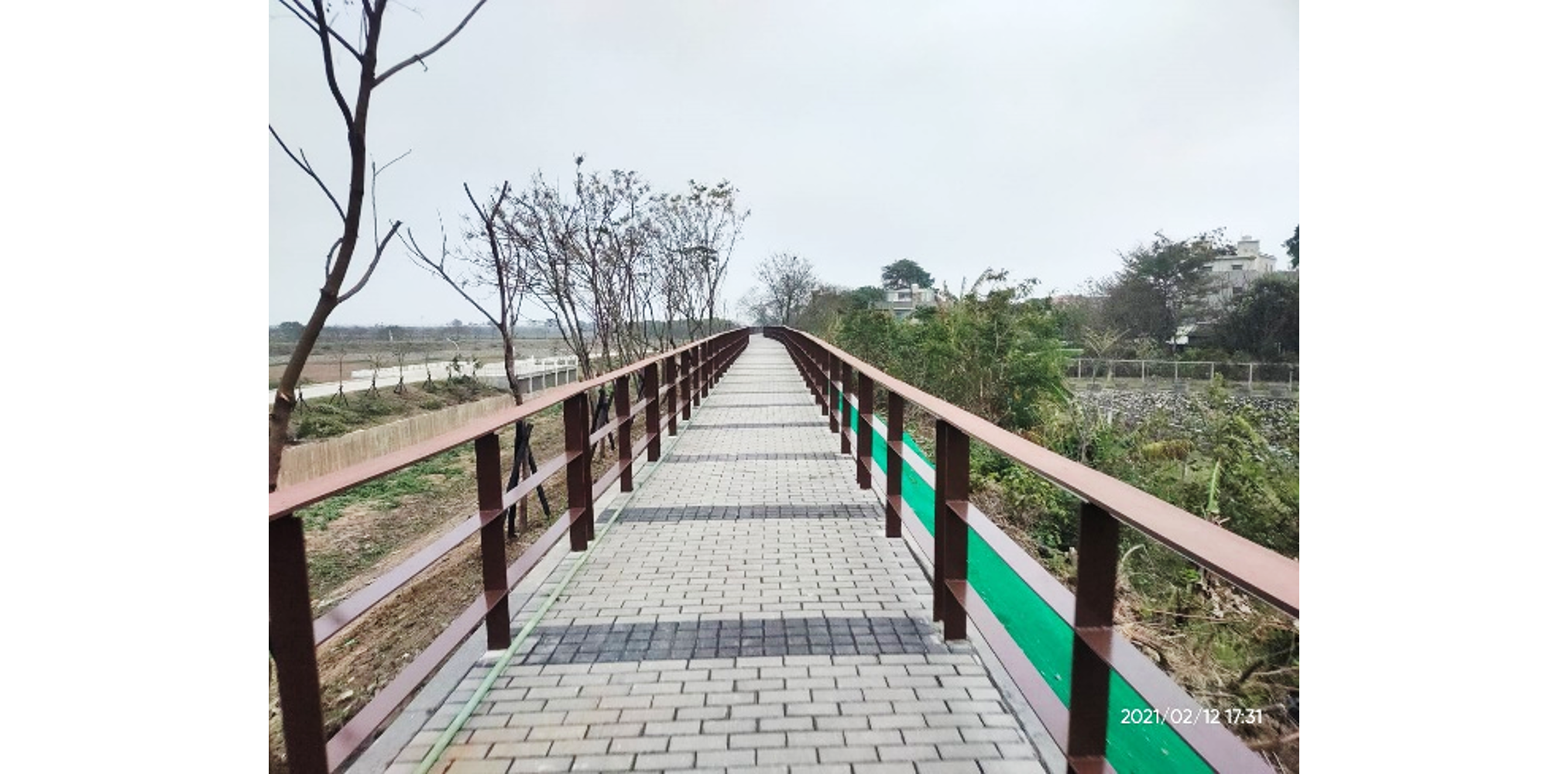 竣工實景－林蔭步道