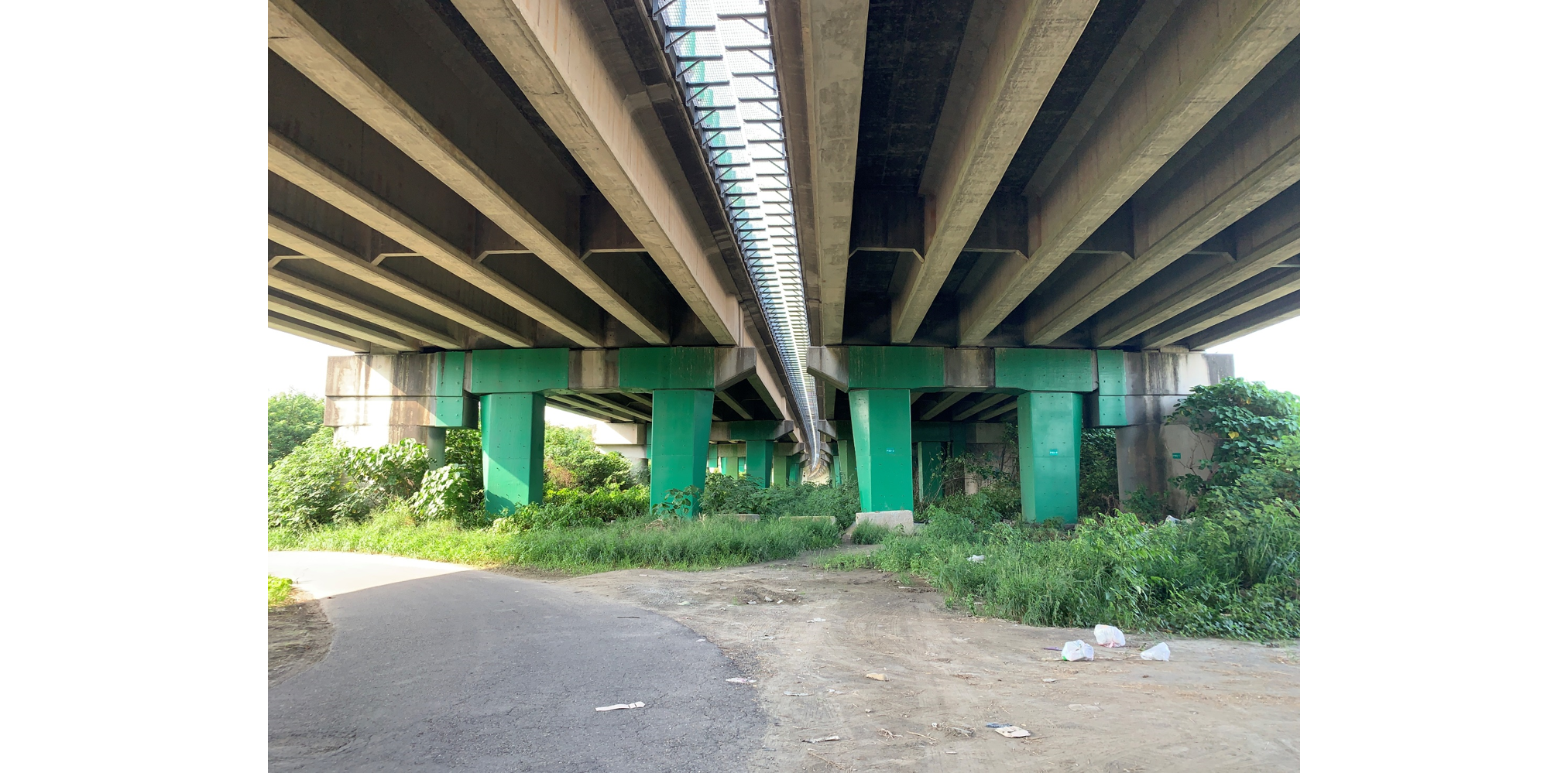 中沙大橋