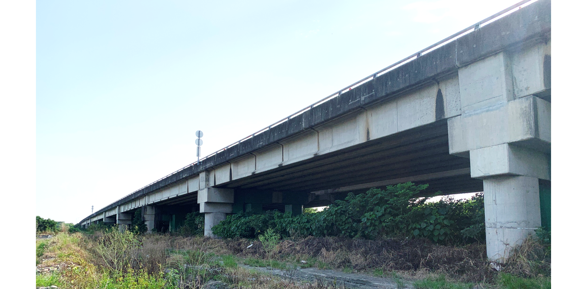 中沙大橋