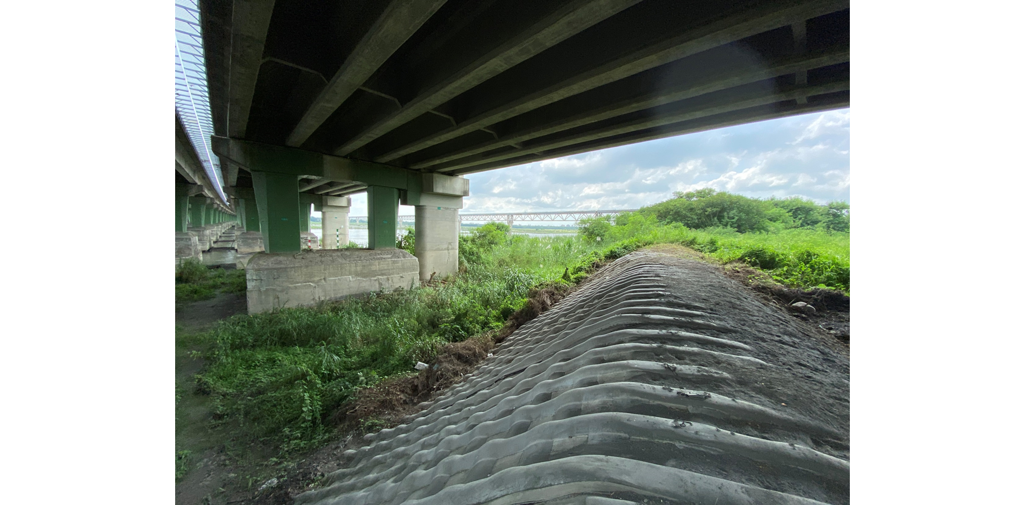 中沙大橋